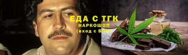 индика Бронницы