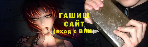 индика Бронницы