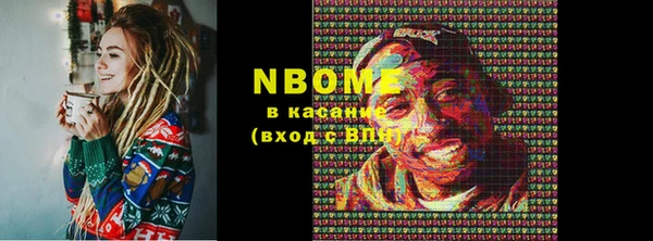 индика Бронницы