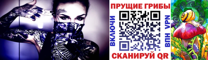 хочу   мега онион  Галлюциногенные грибы Cubensis  Эртиль 